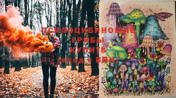 МДМА Алексеевка